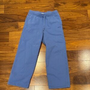 Aritzia Women's Joggers in Blue
